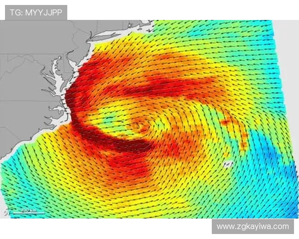 2017年飓风与亚自由的较量对比分析及其影响探讨