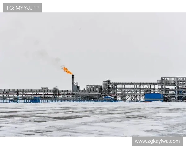 亚马尔地区的能源战略与全球气候变化的深远影响探讨 亚马尔地区的能源战略与全球气候变化的深远影响探讨