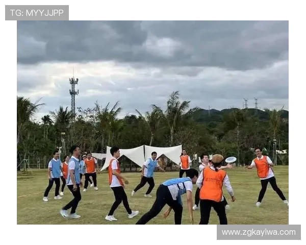 飞盘热潮下的南京飞盘队:团队意识与竞技精神的深度探索