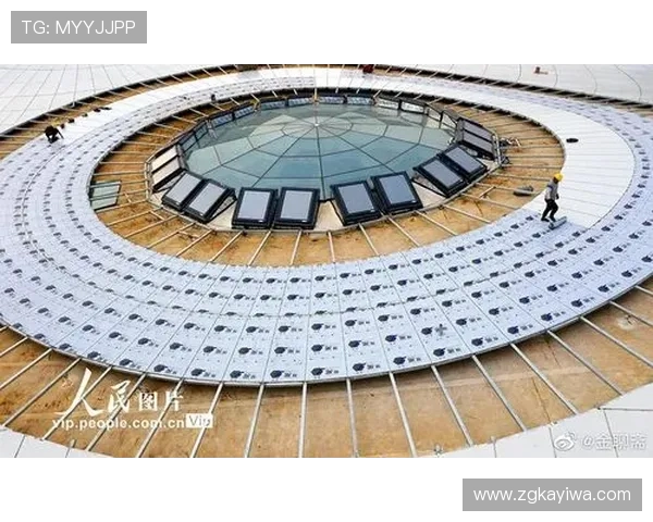 南京极限运动队现状分析与发展前景探讨