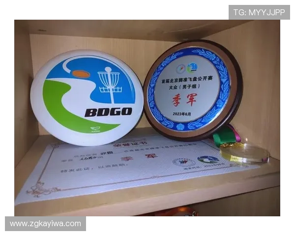 南京飞盘队实力引发热议球迷对其表现褒贬不一