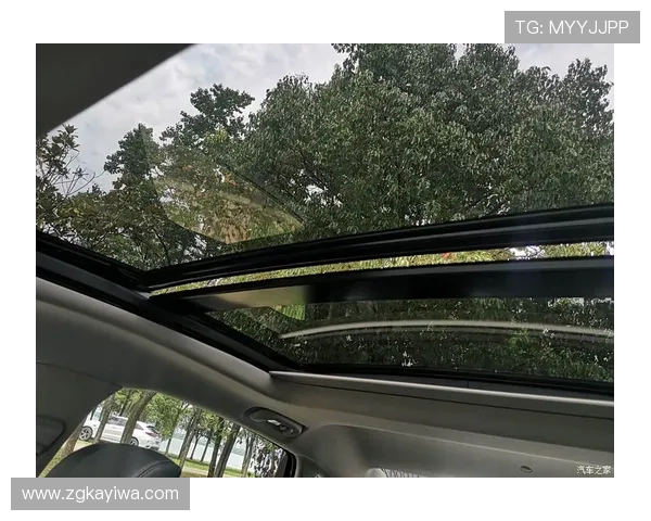 武汉排球队世锦赛逆袭之旅展现拼搏精神与团队力量 武汉排球队世锦赛逆袭之旅展现拼搏精神与团队力量