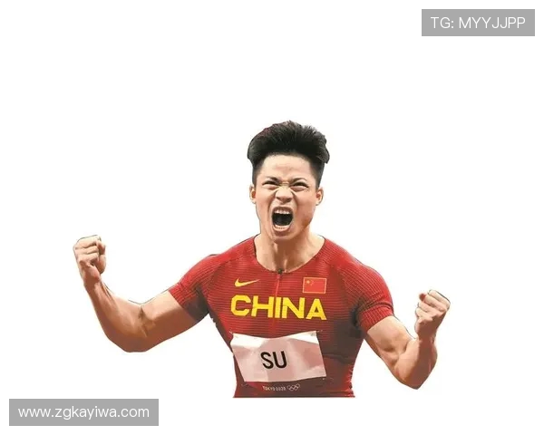 攀岩高手刘强的成功秘笈与心路历程深度专访